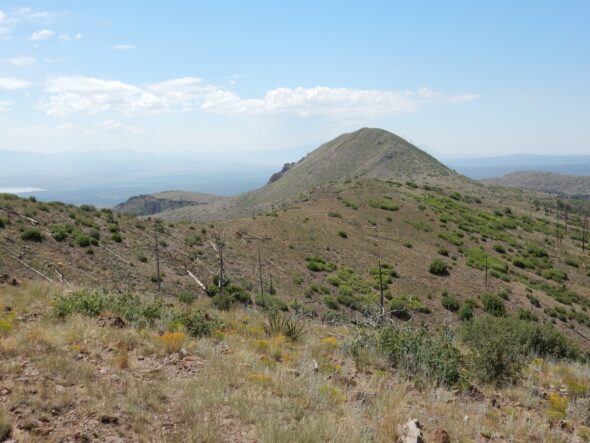 Wanderlusting Cerro Picacho